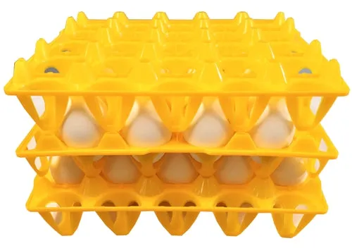 48 Pack of 20 Duck, Goose, Turkey, & Peafowl Size Egg Trays