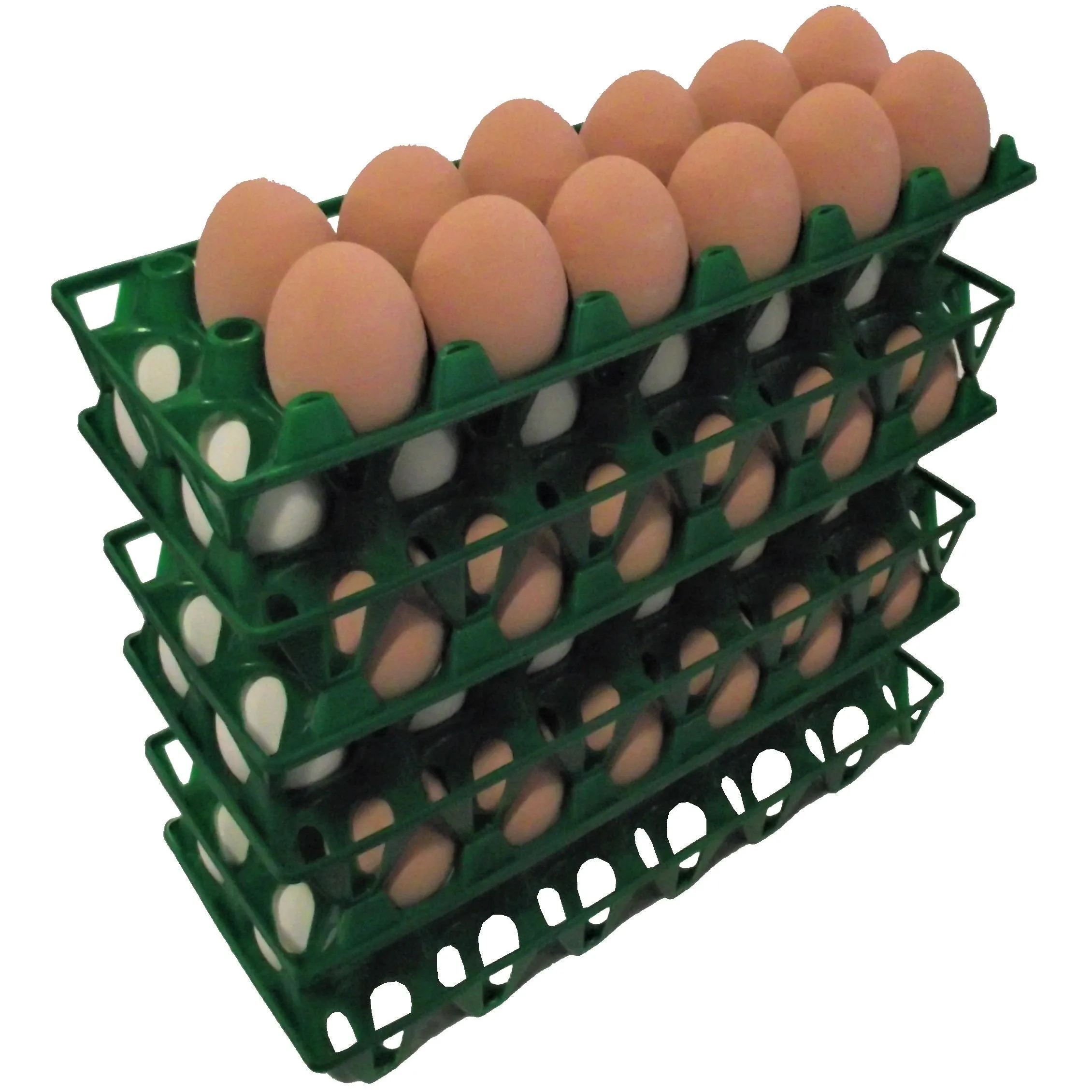 48 Pack of Rite Farm Products 12 Chicken Egg Poly Trays