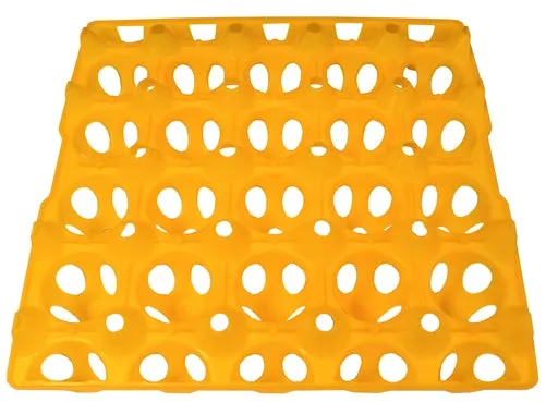 6 Pack of 20 Duck, Goose, Turkey, & Peafowl Size Egg Trays