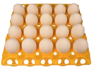 6 Pack of 20 Duck, Goose, Turkey, & Peafowl Size Egg Trays