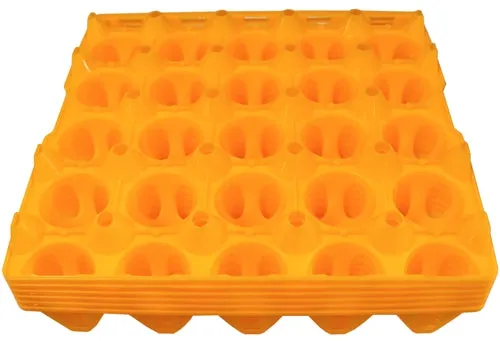 6 Pack of 20 Duck, Goose, Turkey, & Peafowl Size Egg Trays