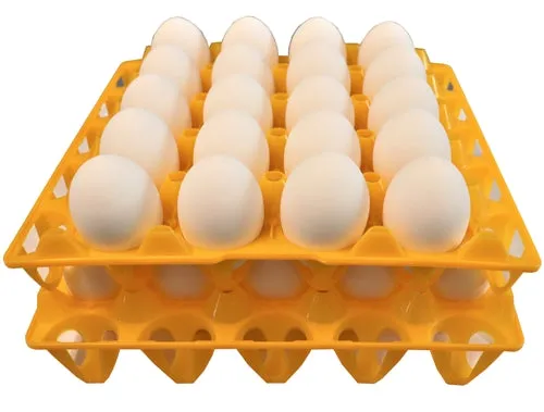 6 Pack of 20 Duck, Goose, Turkey, & Peafowl Size Egg Trays