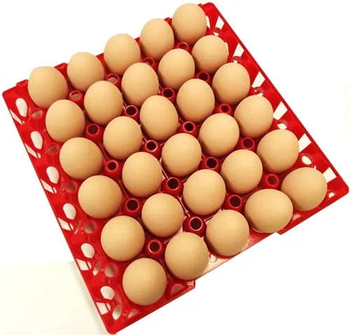 6 Pack of Rite Farm Products 30 Chicken Egg Poly Trays