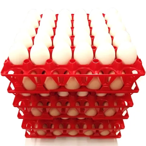 6 Pack of Rite Farm Products 30 Chicken Egg Poly Trays