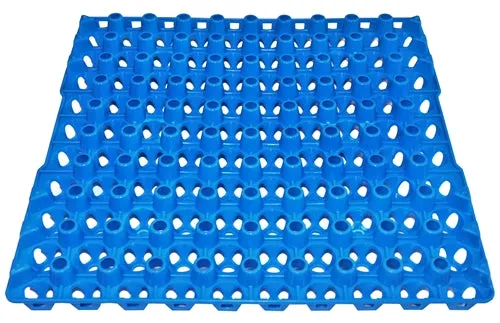 96 Pack of 90 Quail, Pigeon, Dove, & Bird Size Egg Trays