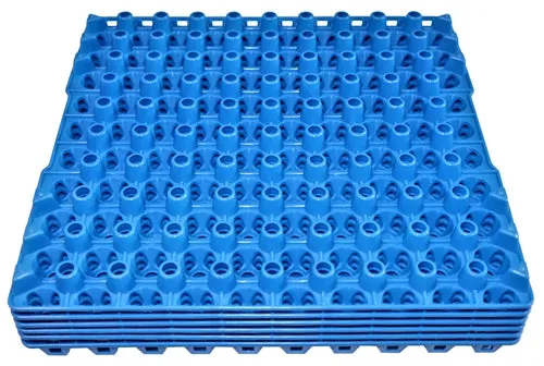 96 Pack of 90 Quail, Pigeon, Dove, & Bird Size Egg Trays