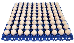 96 Pack of 90 Quail, Pigeon, Dove, & Bird Size Egg Trays