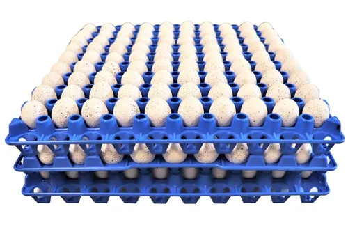 96 Pack of 90 Quail, Pigeon, Dove, & Bird Size Egg Trays