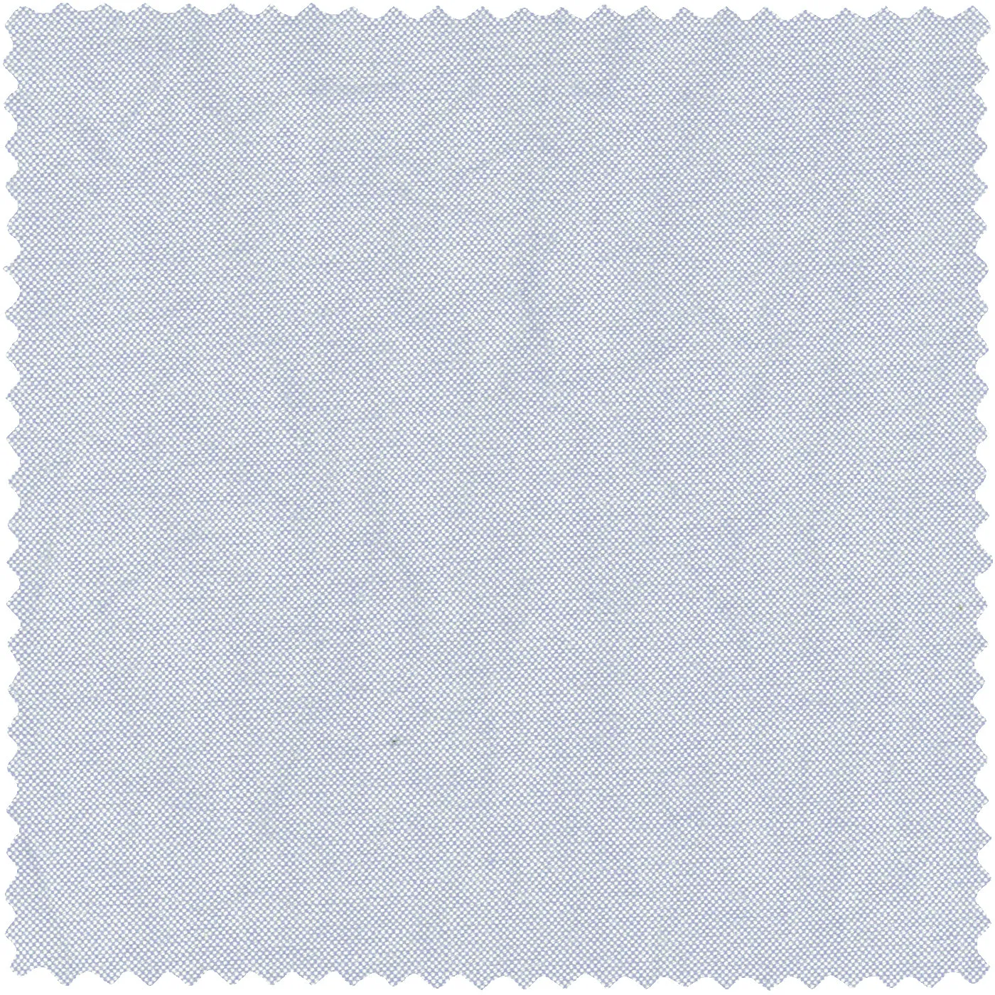 Blue Brushed Fall Oxford